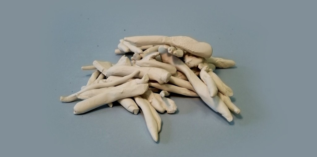 Opere e altri atti&nbsp;creativi